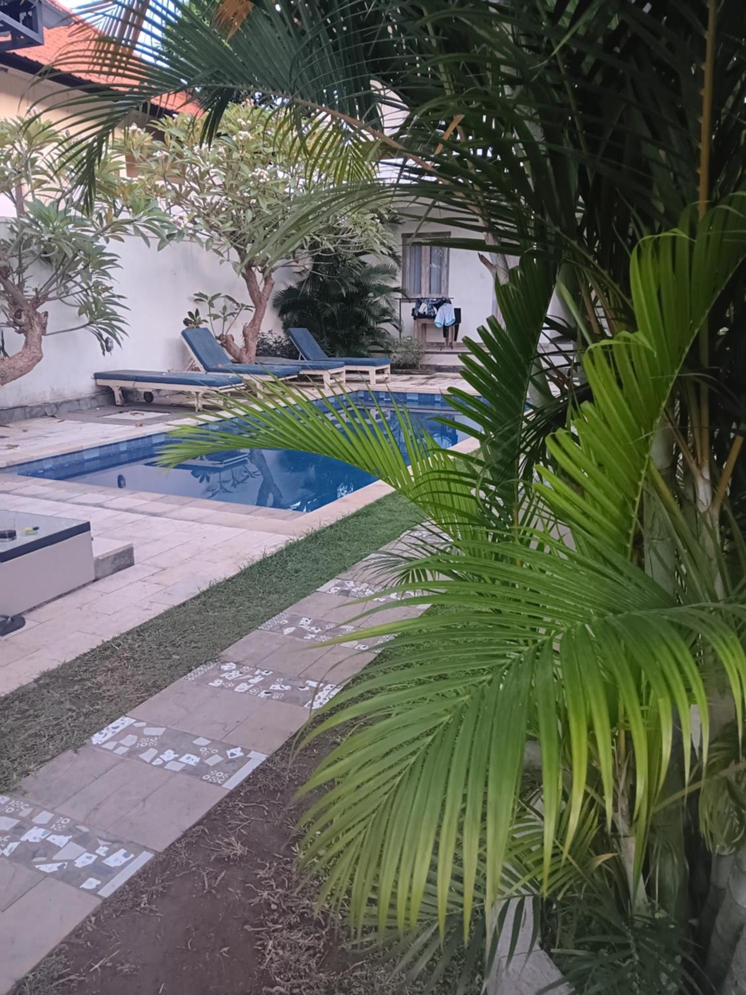 Adore Guesthouse Amed Стая снимка