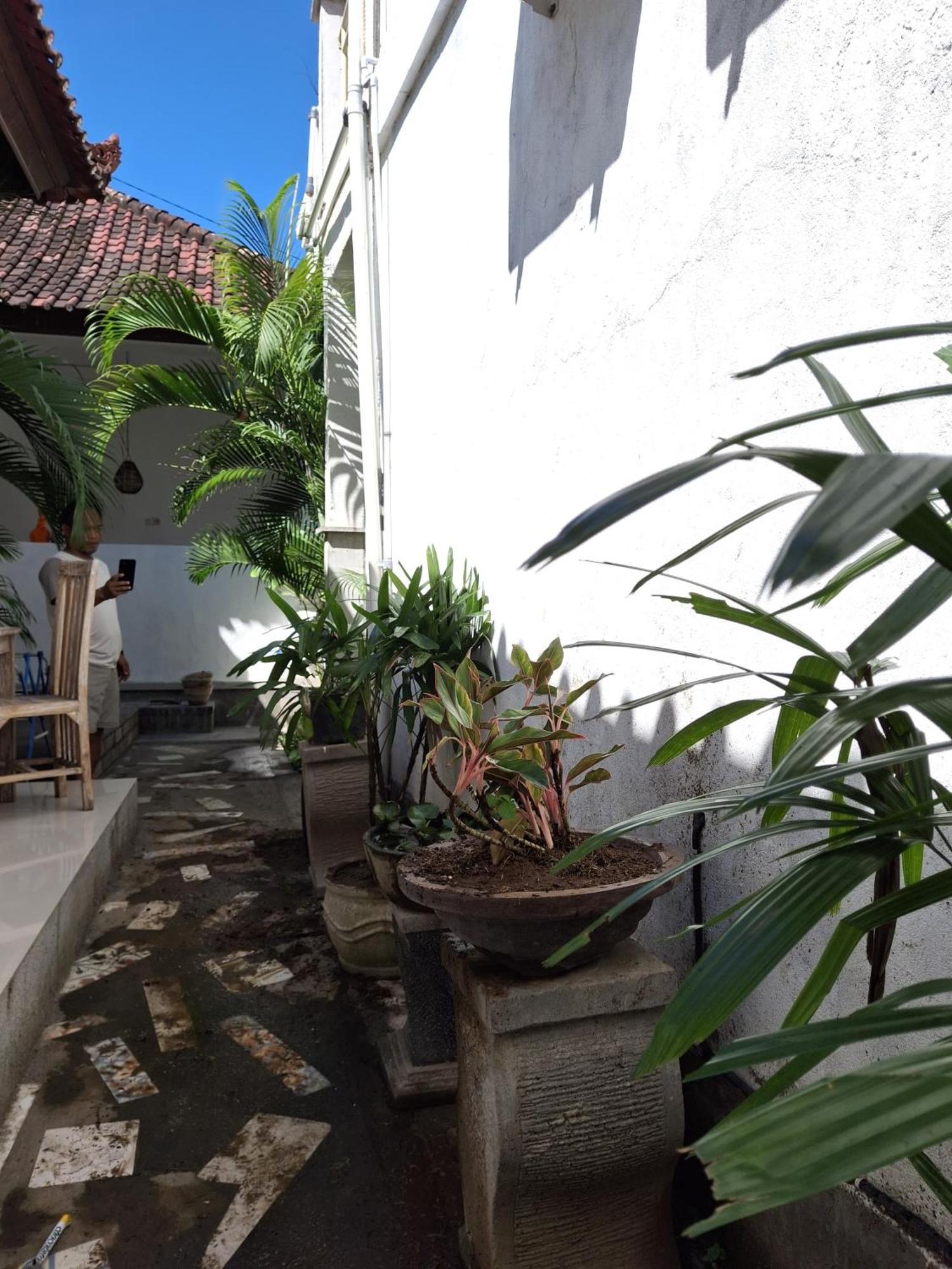 Adore Guesthouse Amed Стая снимка